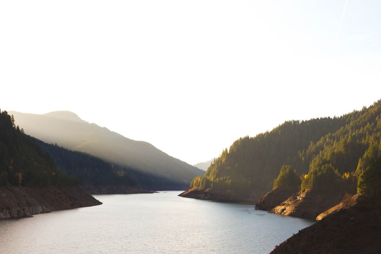 Cougar Springs- Drive-5581