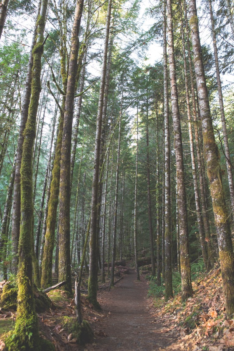 Couger hot springs (Path 2)-5604