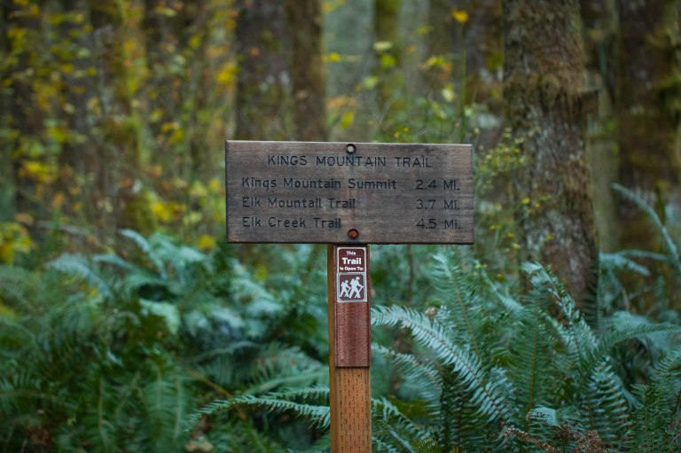 King's Mountain 10-9441