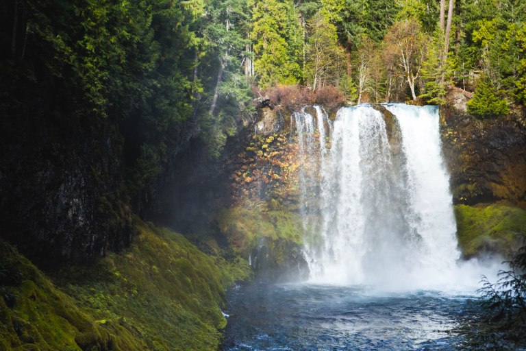 Koosah Fals- Featured-5839