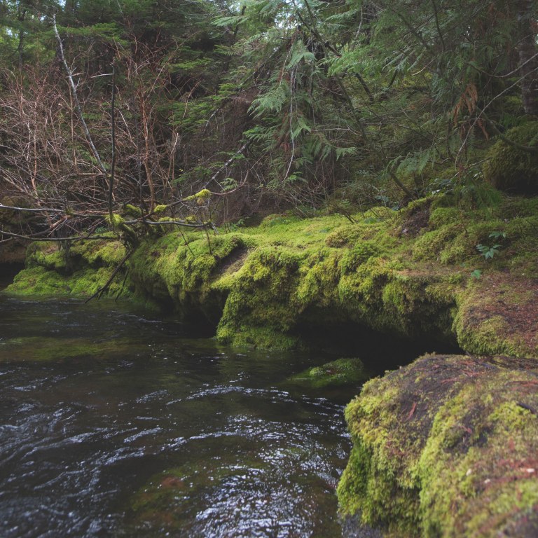 Koosah Fals- River re-edit-5781