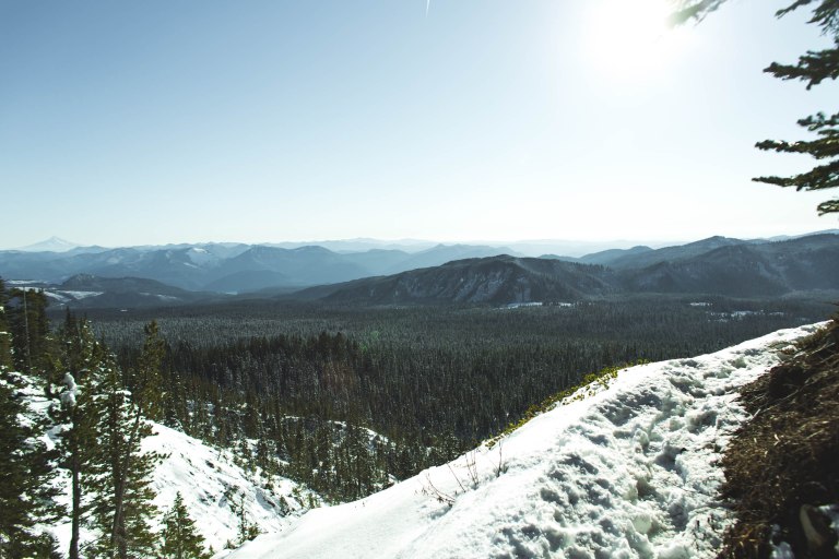 Mt St helens- Timberline path-6324