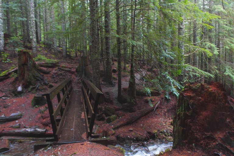 Mirror Lake bridge-9657