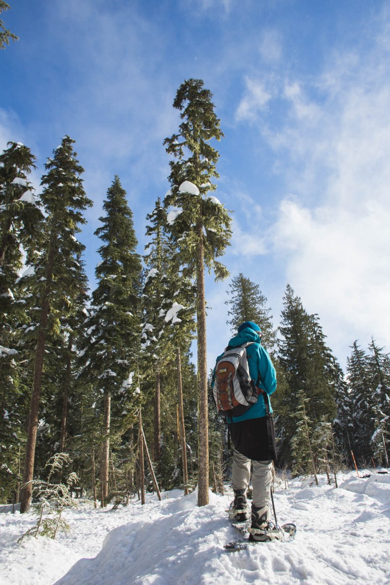 Twin lake 2 Dana-1857.jpg